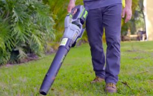 Best Electric Leaf Blowers AU